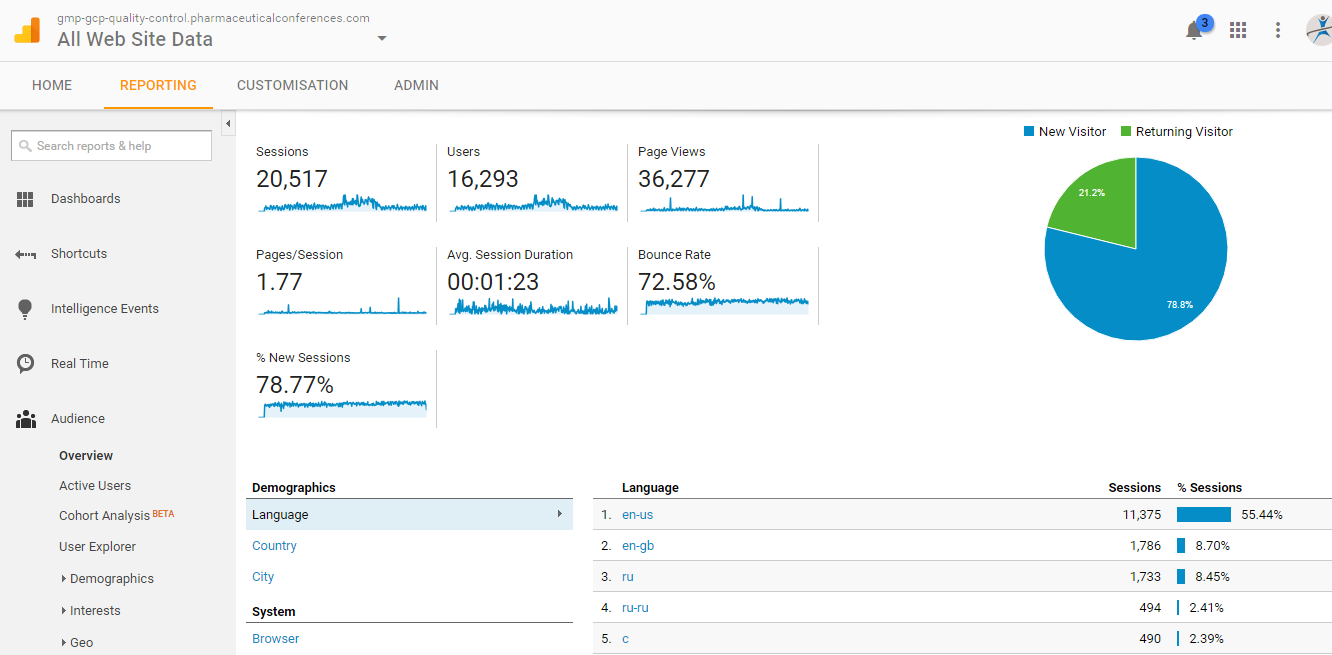 Visitor Analysis Report